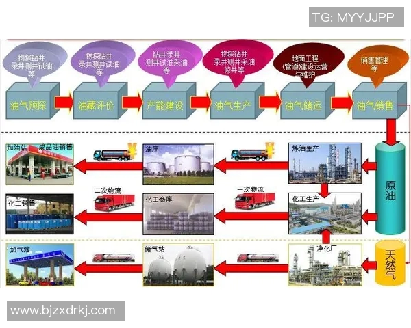深入分析RNG战队进攻战术的实时数据解读与应用策略